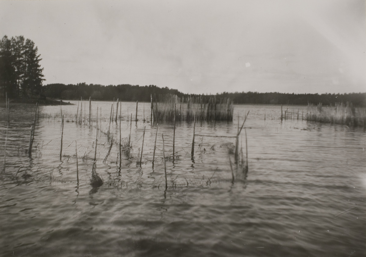 Rysakatiska-sayneen-pyyntia-varten-Museovirasto-Kansatieteen-kuvakokoelma-kuvaaja-Jaaskelainen-1913.